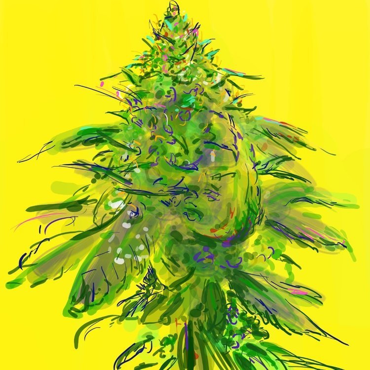bud222.jpg