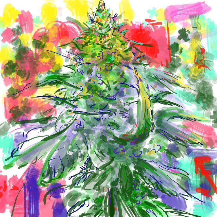 bud255.jpg