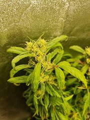 20220402_191028.jpg