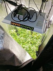 20220403_090205.jpg