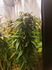 20220417_092953.jpg