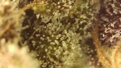 B8C5F6D7-019D-41AB-8D7A-9EF2049598B0.jpeg