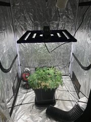 set up