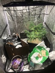 Cro +46 preparation du smart pot 78L