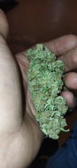 IMG_20220408_204104.jpg