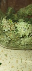 IMG_20220408_204259.jpg