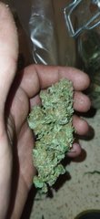 IMG_20220408_204318.jpg
