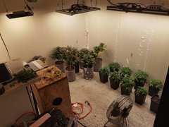 New Room