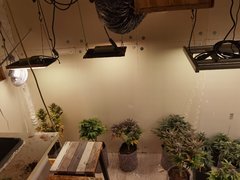 New Room