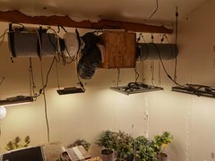 New Room