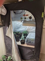 New room (box cro en haut et séchage en dessous)