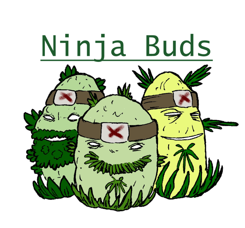 Ninja buds Colo1ADV.png