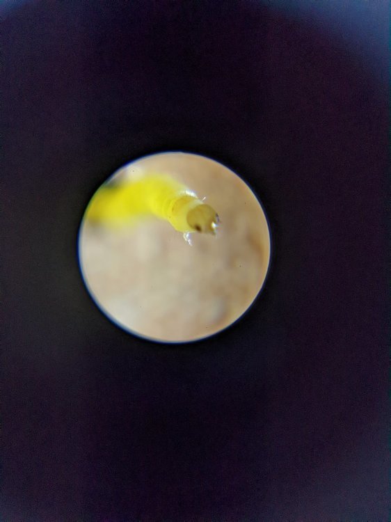PXL_20220509_171255104.jpg