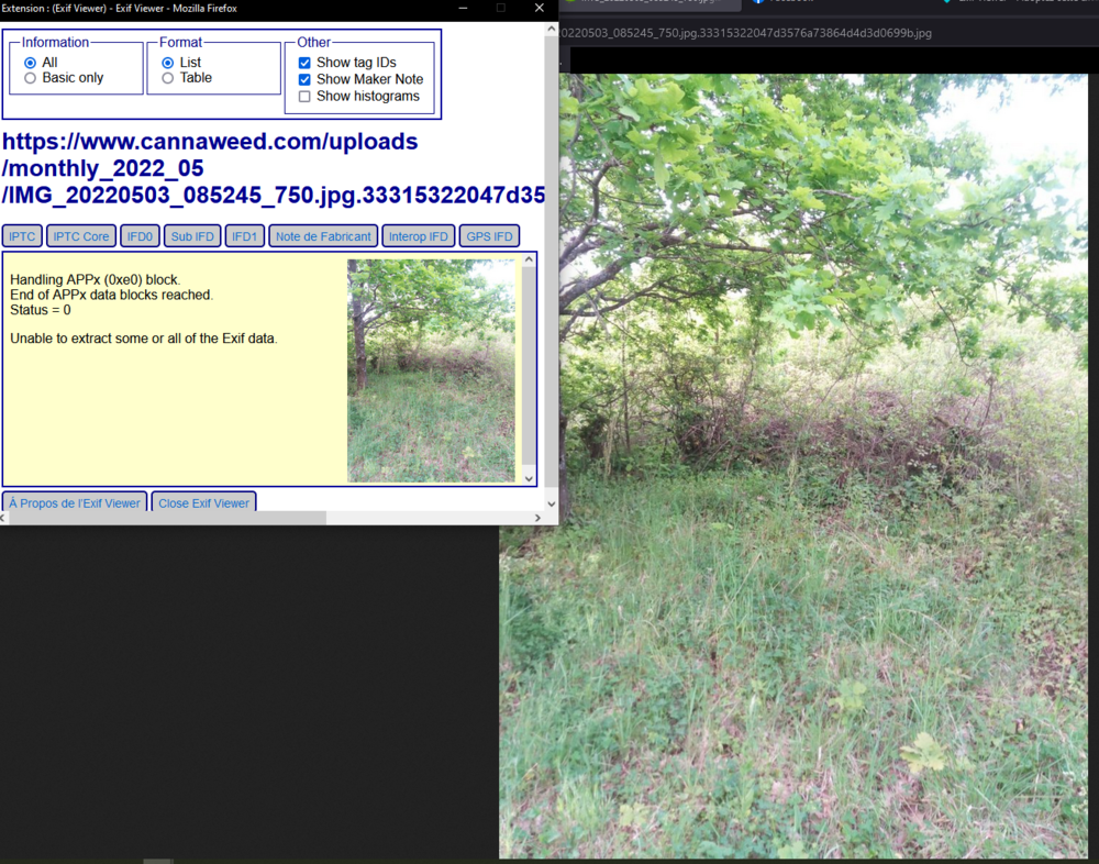 exif.png