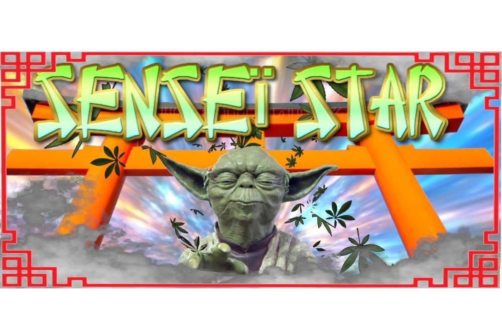 senseistar.thumb.jpg.04dcb1740b7307a9abf782dbd37400d4.jpg