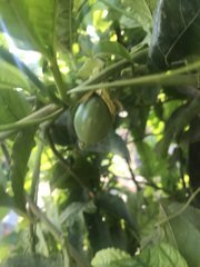 IMG_4199 2.jpeg