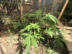 IMG_4295 2.jpeg