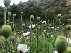 IMG_4219 2.jpeg