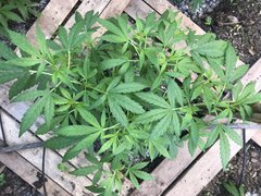 1F50EEB2-F135-4932-AB30-B5373987CA80.jpeg