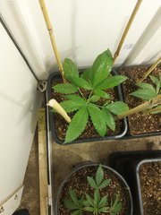 20220314_101049.jpg