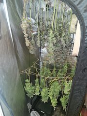 20220503_134708.jpg