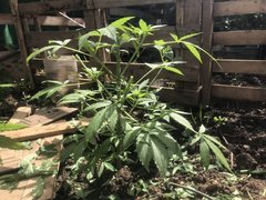 IMG_4294 2.jpeg