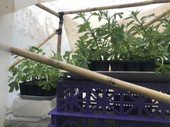 IMG_4309 2.jpeg
