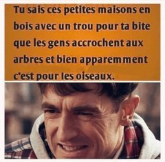 B317DB65-5BB9-4DDE-BE60-5D52C045E1AD.jpeg