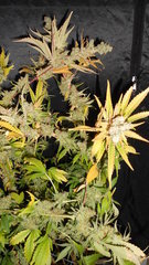 DSCN2088.JPG