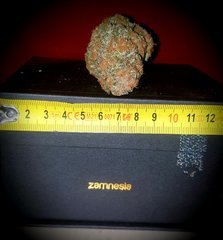 AmnesiaHaze