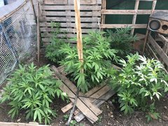 E5AB5F73-1826-454E-9F73-BA7ABB5112E2.jpeg