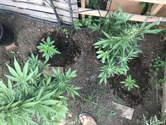 IMG_0088.jpeg