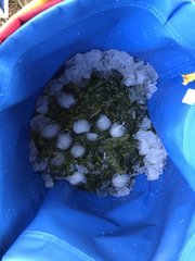 IMG_0401.jpeg