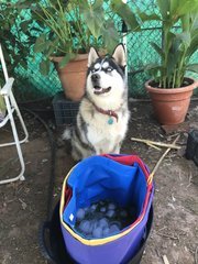 IMG_0415.jpeg