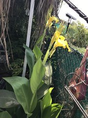IMG_0878.jpeg