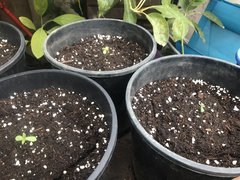 IMG_3610.jpeg