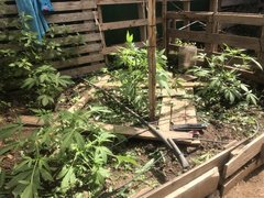 IMG_4293.jpeg
