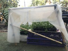 IMG_4307.jpeg