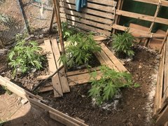 IMG_4371.jpeg