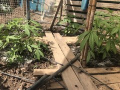 IMG_4373.jpeg