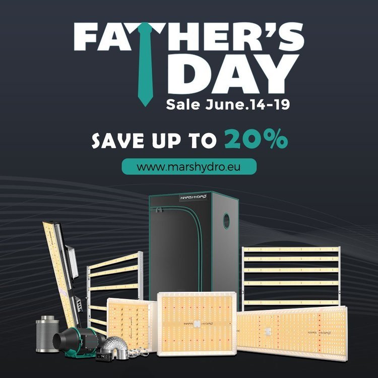 Mars Hydro Father's Day.jpg