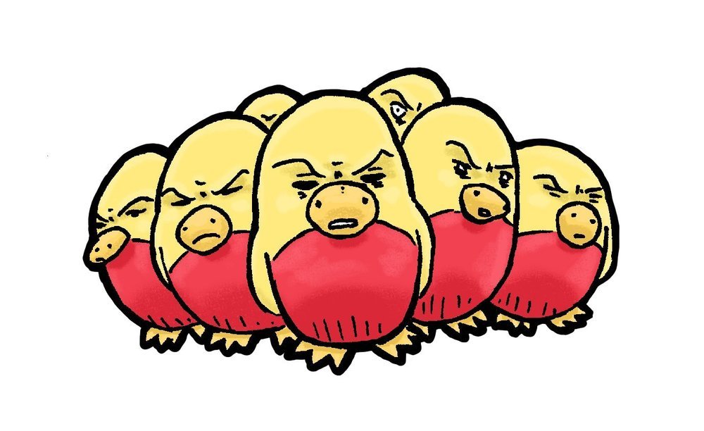 T-Shirt birds2 colo.jpg