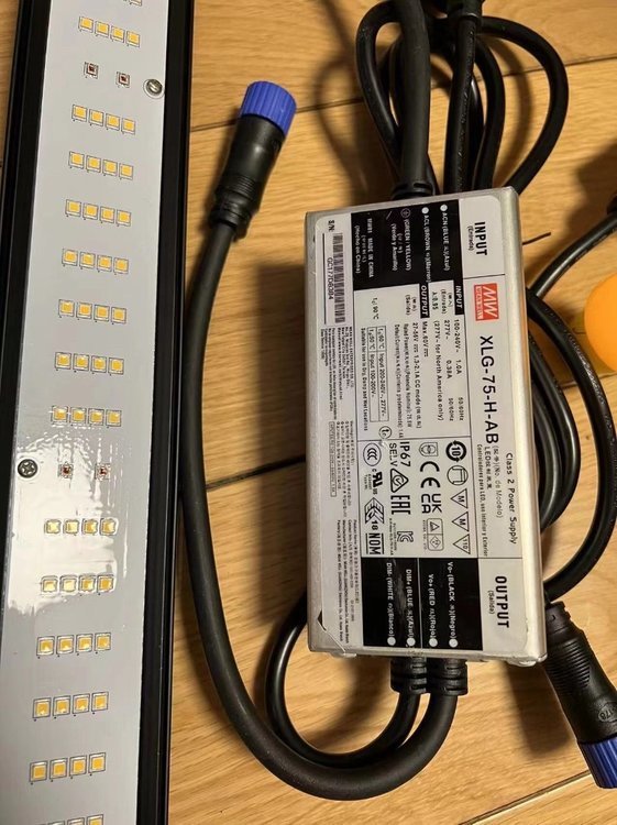 C133AC3D-552A-4BAC-A770-4A35D15B675E.thumb.jpeg.e13e3ddf96a27fb437a04e39b2f1e1e0.jpeg