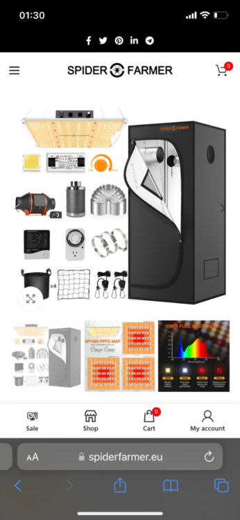 E762291D-2760-4C3C-BDEC-FE69EDF9A8FA.png