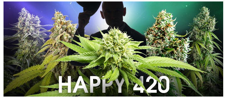 420 (Four Twenty) : la fête du cannabis fait son retour
