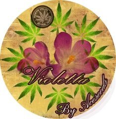 Violetta by Aceseeds