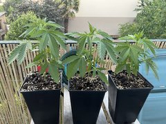 46597940-B1E7-406E-AA1D-66D6AC693FC4.jpeg