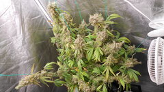 DSCN2097.JPG
