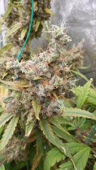 DSCN2108.JPG
