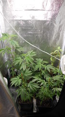 DSCN2115.JPG